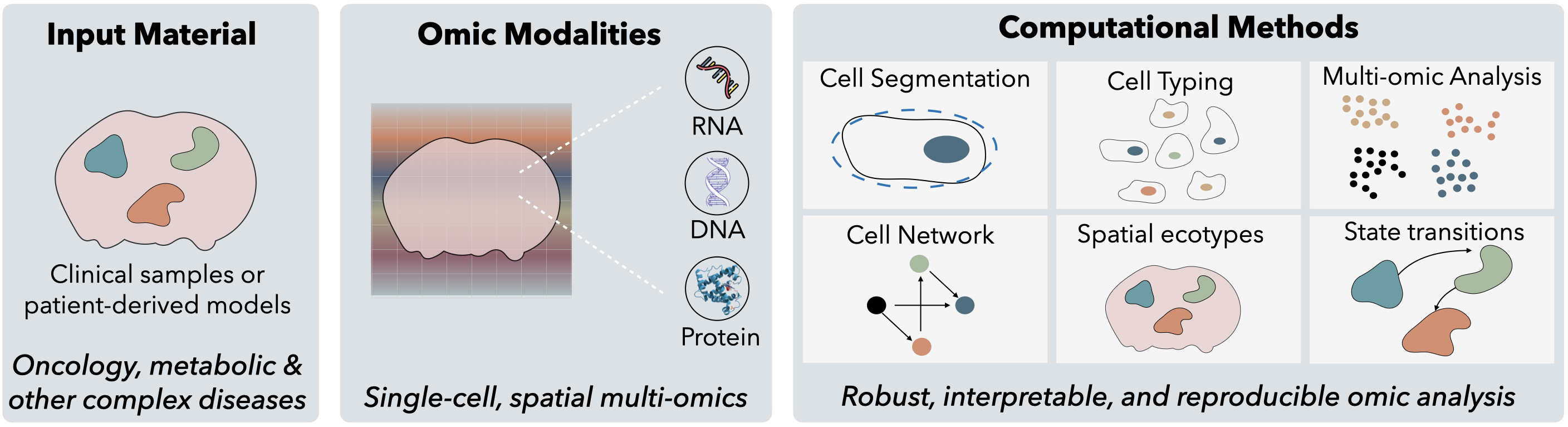 Overview of SOMa Lab s Research